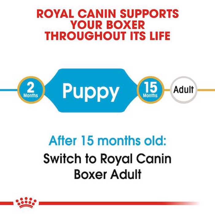 ROYAL CANIN BOXER JUNIOR 12K ΞΗΡΑ ΤΡΟΦΗ ΣΚΥΛΟΥ ROYAL CANIN BOXER JUNIOR 12K XIRA TROFI SKuLOu